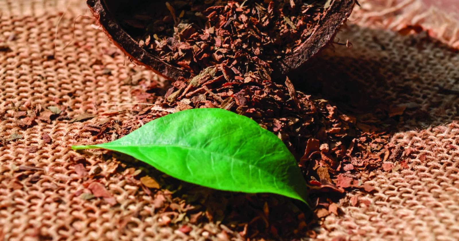 Ilustrasi untuk Regulasi Pengurangan Bahaya Tembakau Turunkan Prevalensi