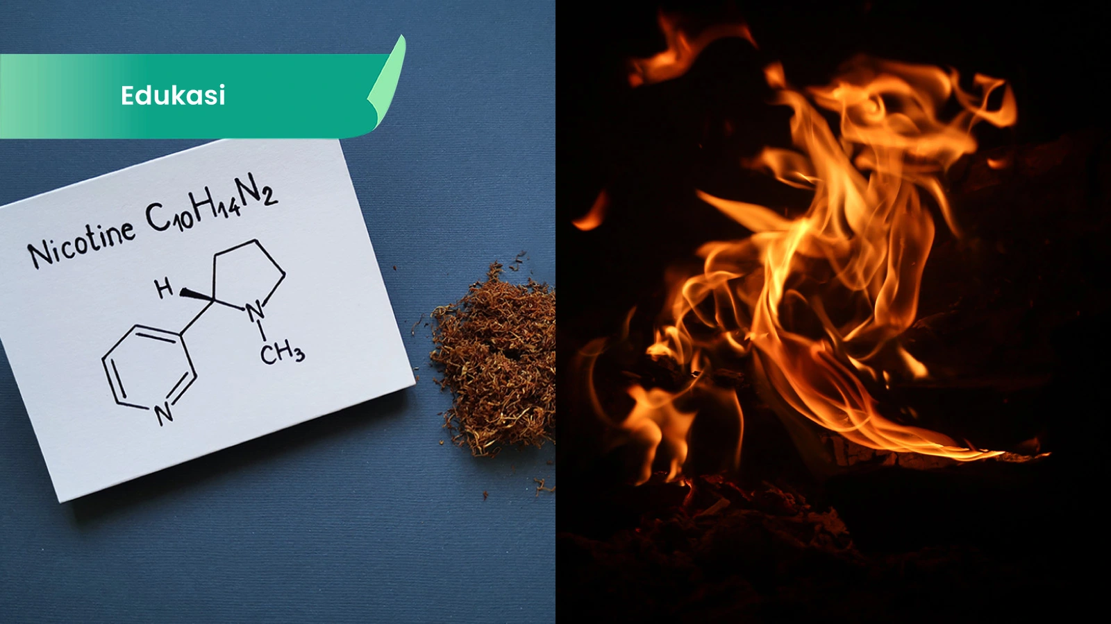 Ilustrasi untuk TAR, Bukan Nikotin, Pemicu Utama Penyakit Rokok