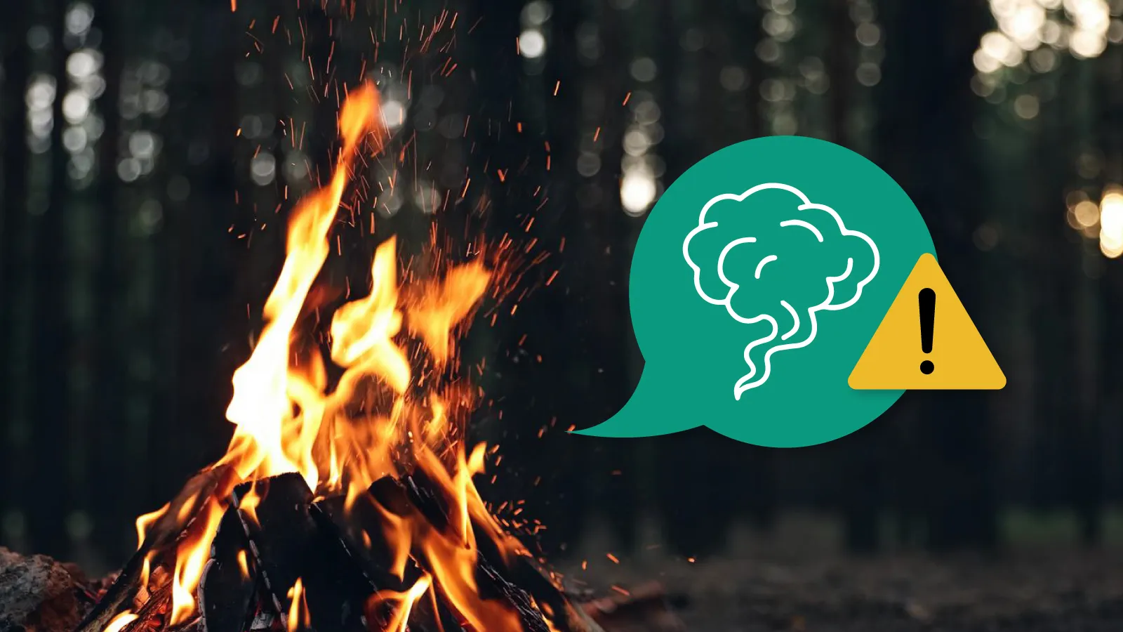 Ilustrasi untuk 6 Bahaya Kesehatan Karena Paparan Asap