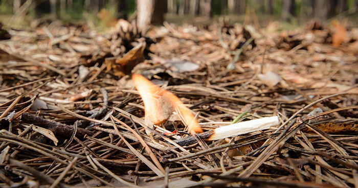 Ilustrasi untuk Tobacco Harm Reduction, Strategi Mengurangi Bahaya Rokok