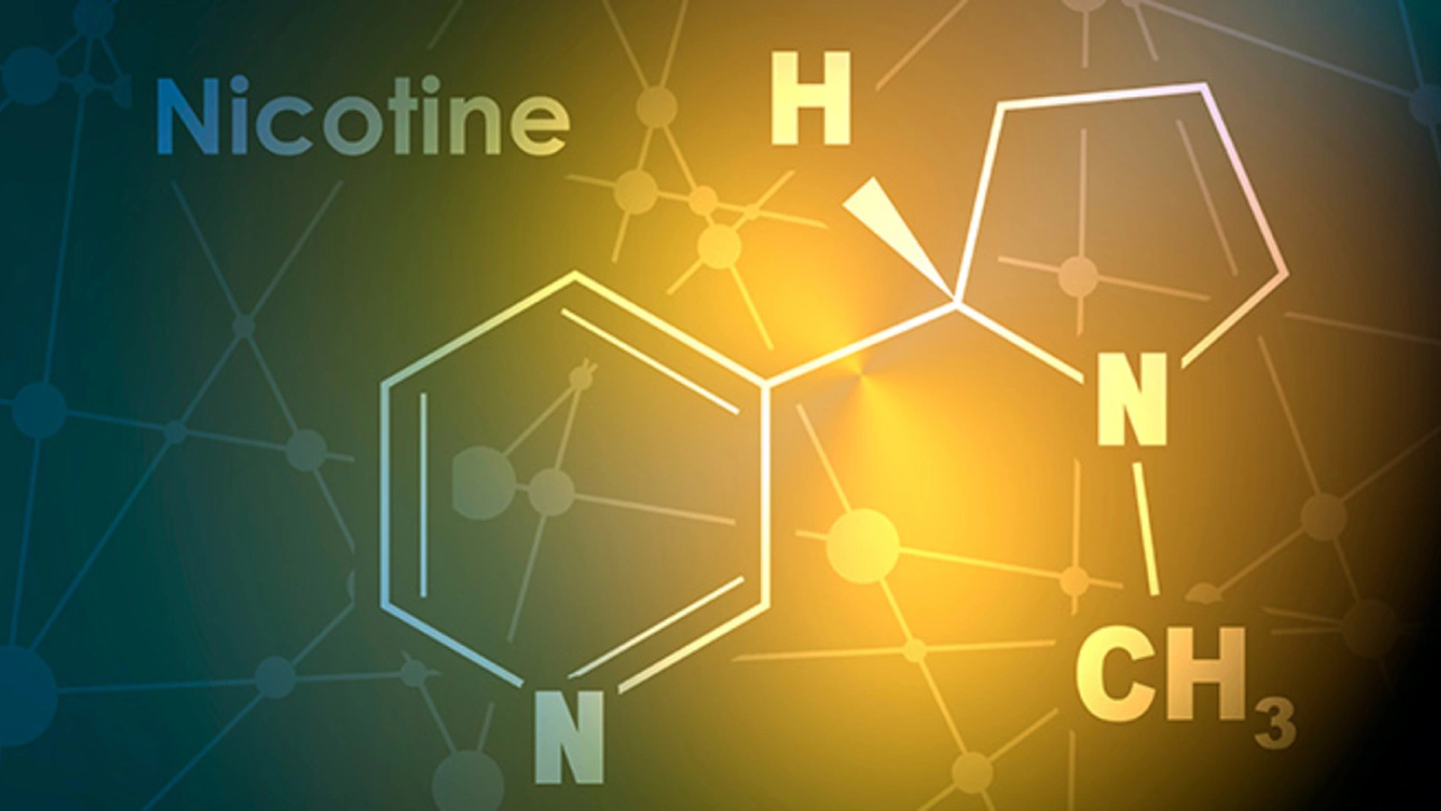 Ilustrasi untuk Efek Nikotin pada Tubuh: Kesehatan, Risiko, dan Fakta