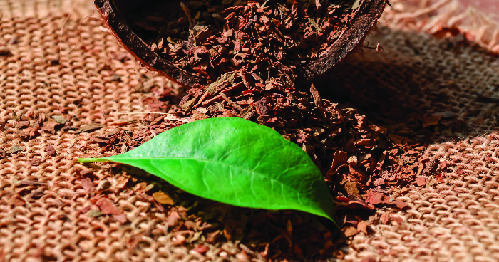 Ilustrasi untuk Regulasi Pengurangan Bahaya Tembakau Turunkan Prevalensi