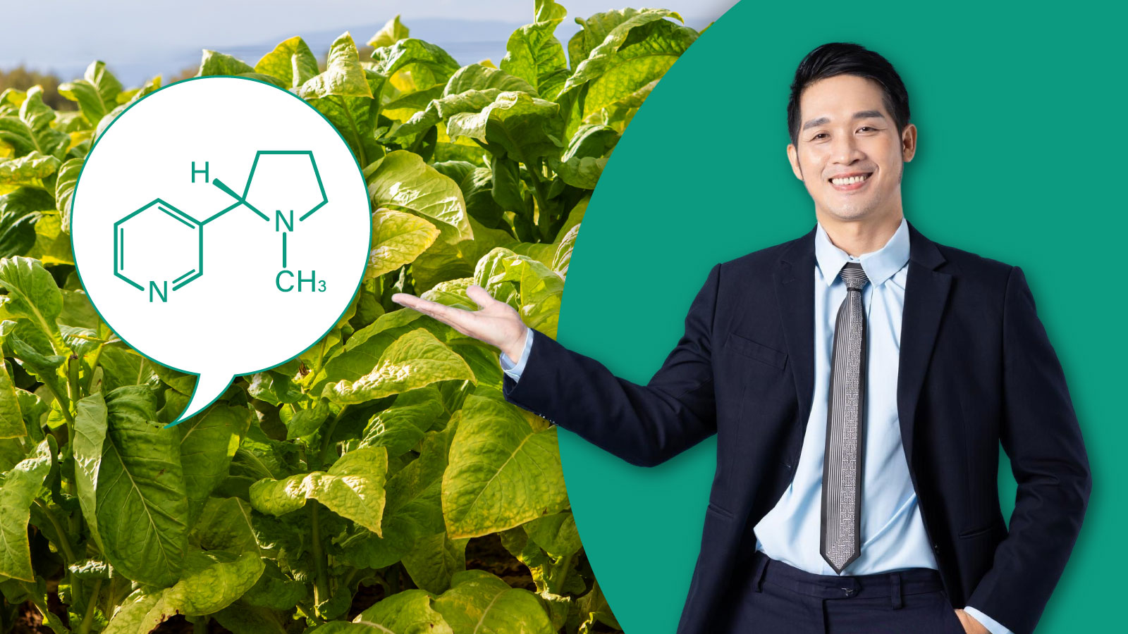 Ilustrasi untuk Pengurangan Risiko Tembakau: Ubah Pandangan tentang Nikotin