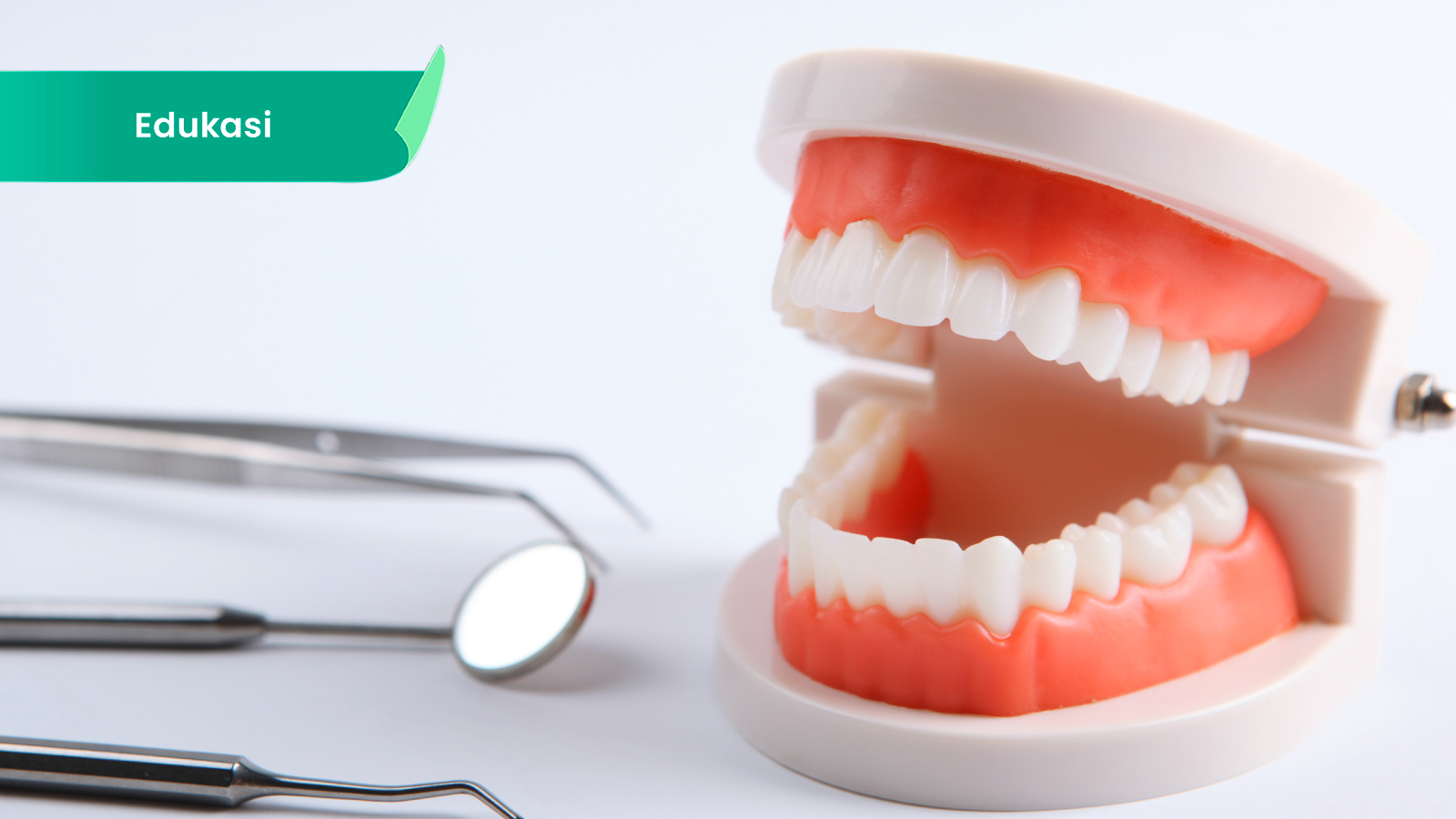 Ilustrasi untuk Tembakau Dipanaskan dan Pengurangan Risiko: Pendapat Pakar