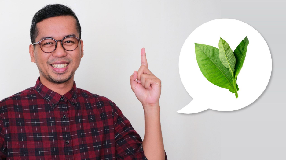 Ilustrasi untuk 3 Fakta Menarik tentang Nikotin yang Perlu Diketahui